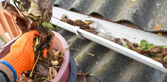 Gutter Cleaning